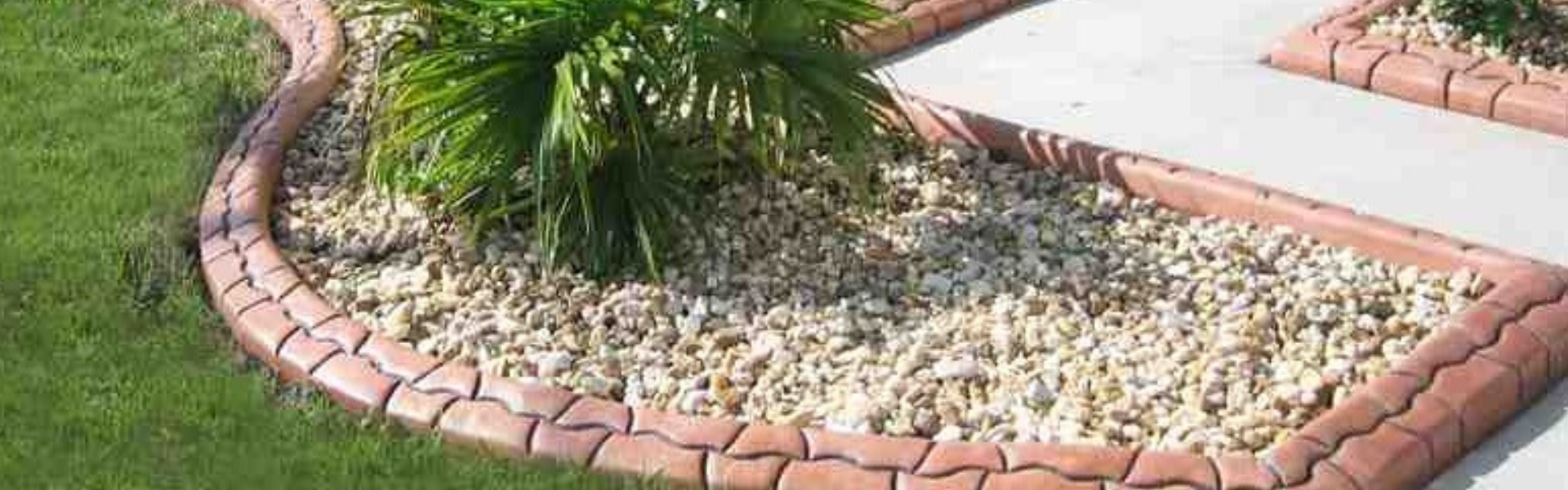 brown custom concrete curbing around landscape whit rocks and a palm tree in the center