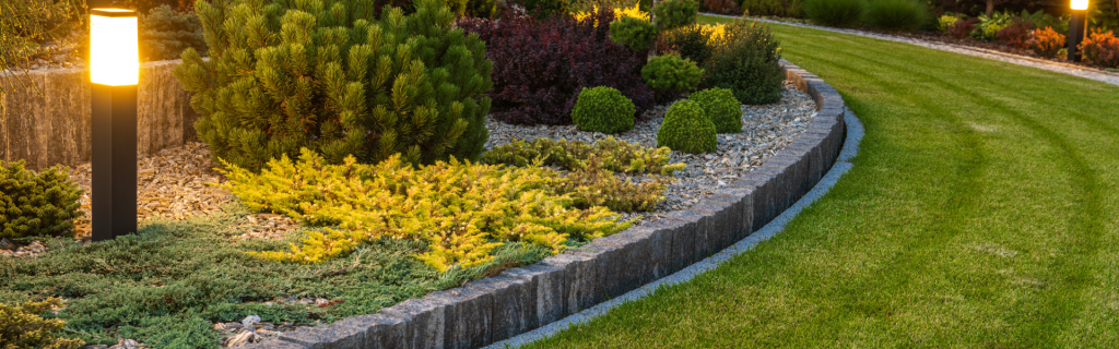 landscaping with paver boarder and different colored plants with an outdoor ground light to the left