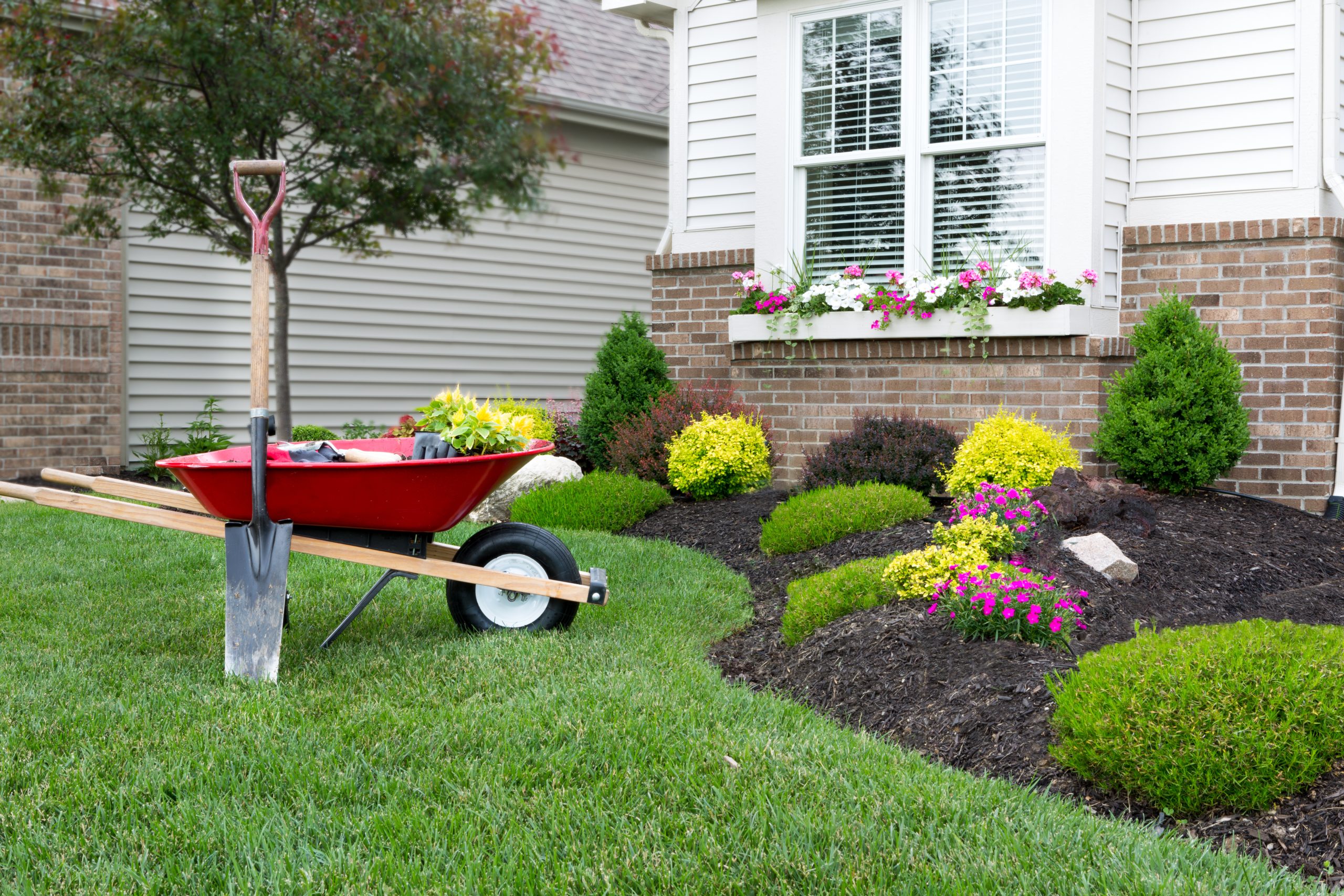 Wheelbarrow standing on a neat manicured green lawn