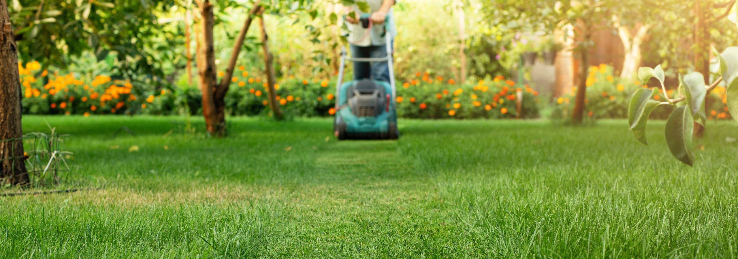 Man pushing lawn mower for summer lawn maintenance.
